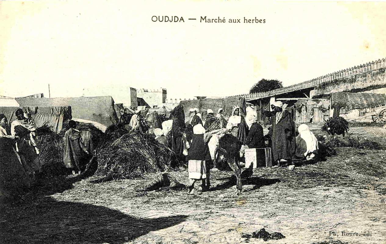 BIVEN Georges - 252- Oujda.jpg